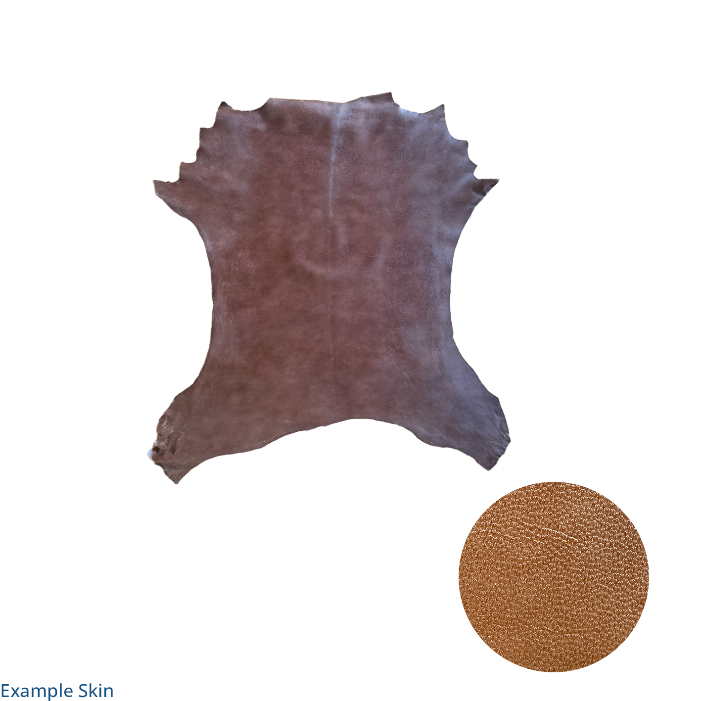 Aniline Lacquered Goat - Dark Chocolate