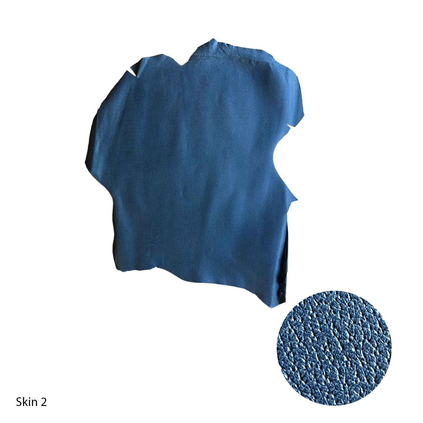 Embossed Pig Skin - Blue