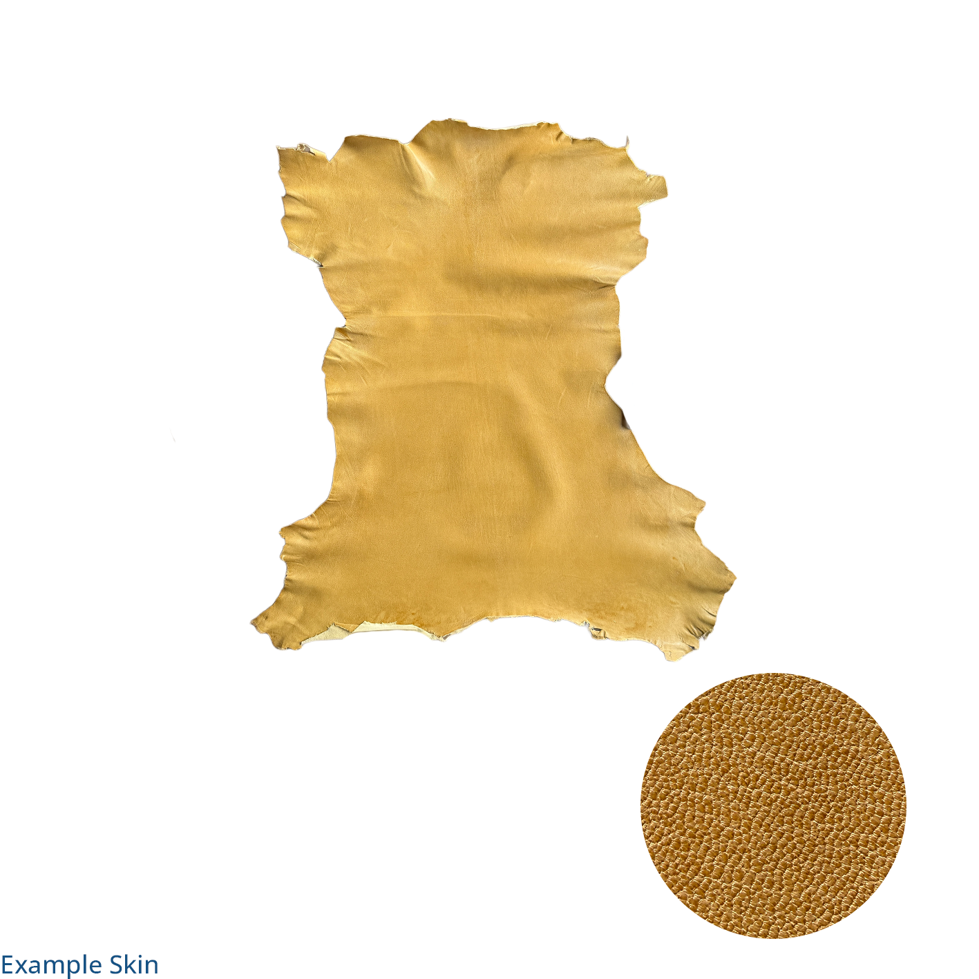 Mustard Solway Goat