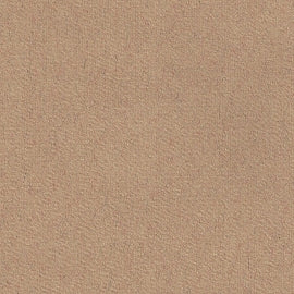 Hahnemühle Ingres