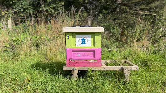 The Hewits Hive