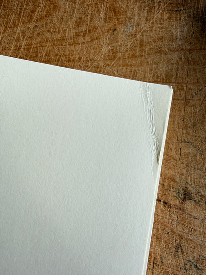 Damaged Studio 80 Cream Album Block