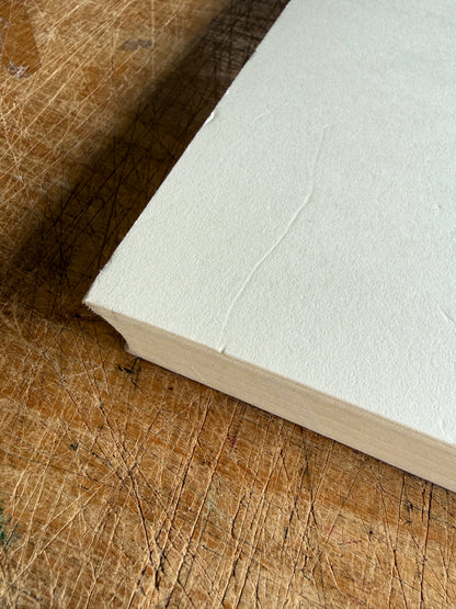 Damaged Classic 2 Album Block