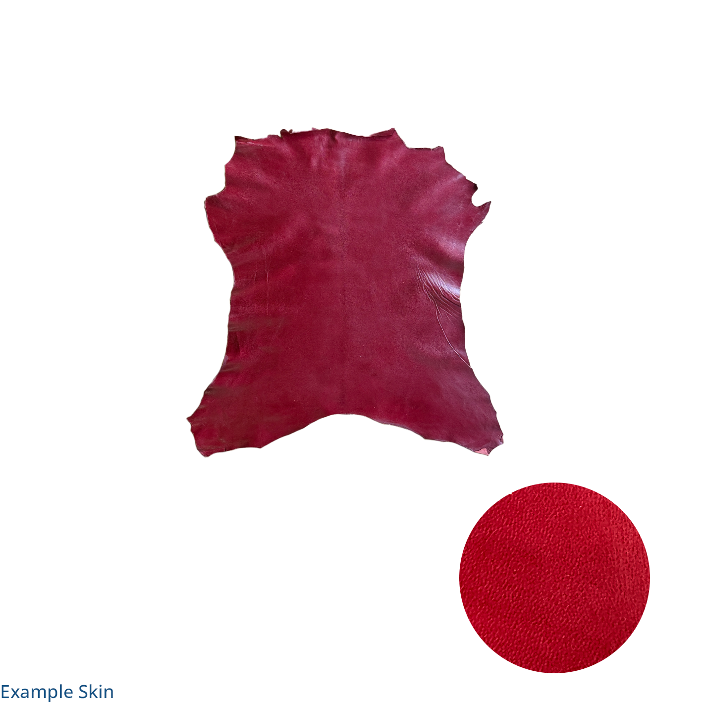 Aniline Lacquered Goat - Rich Red