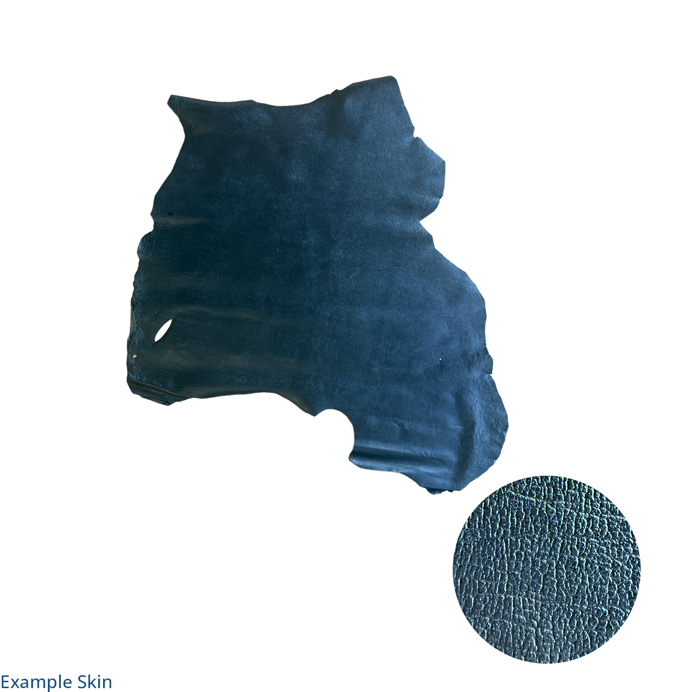 Embossed Pig Skin - Black