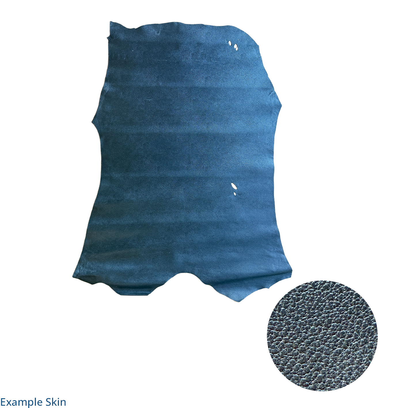 Embossed Pig Skin - Black