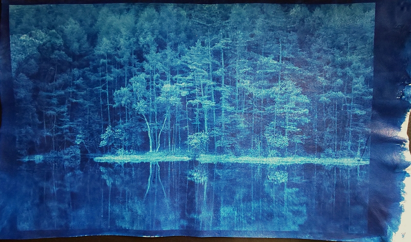 Showcase Image