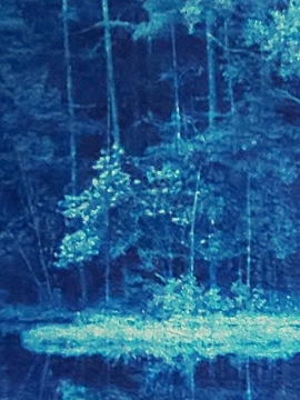 detail