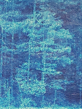 detail