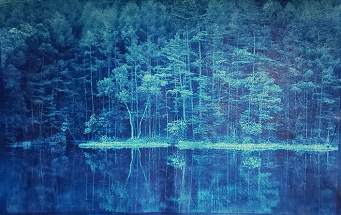Cyanotype Print on Leather