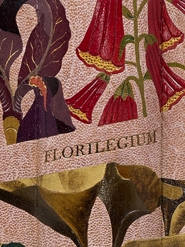 detail
