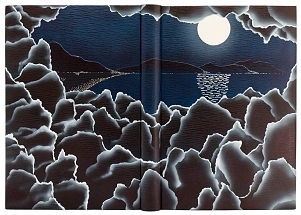 Night Flight