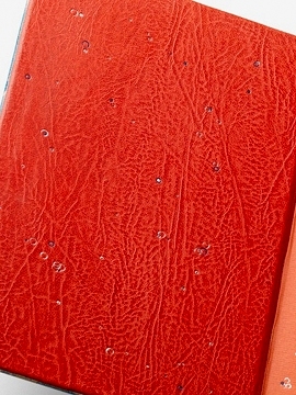 detail