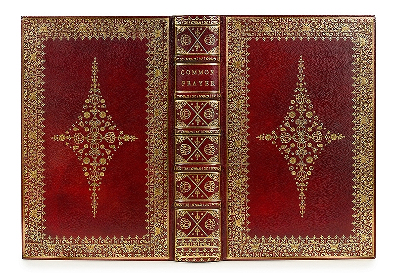 Showcase Image