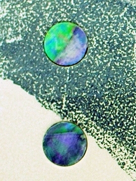 detail