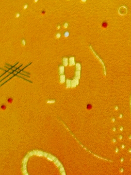 detail